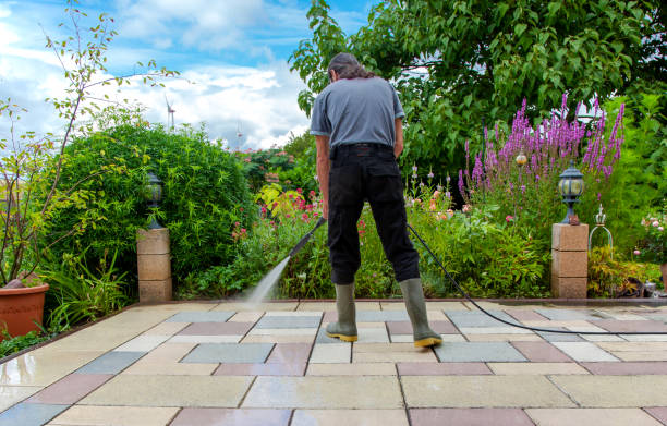 Best Residential Pressure Washing in Oak Grove, MN